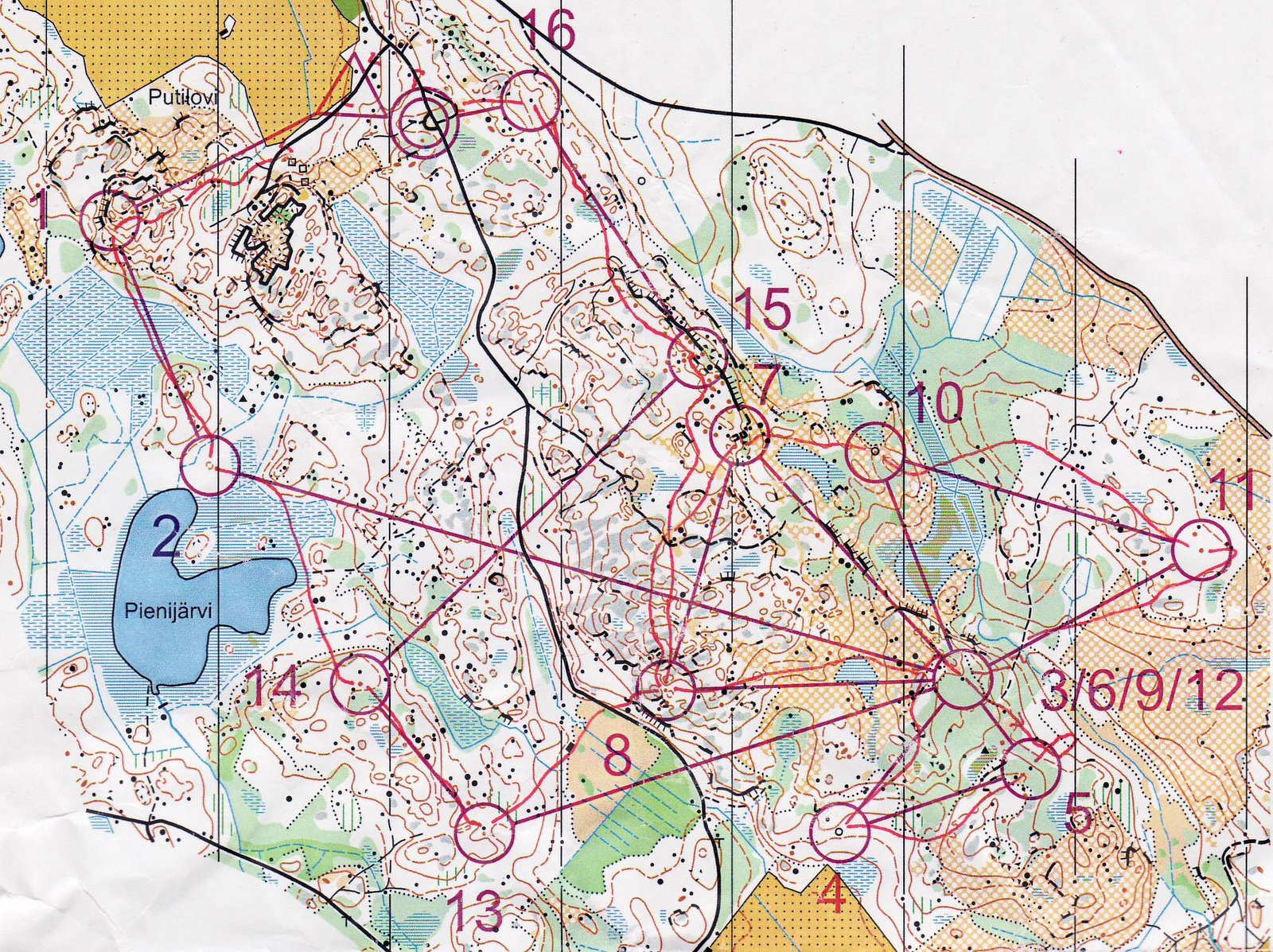 Training for Jukola (2011-06-17)