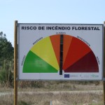 Incendion Florestal