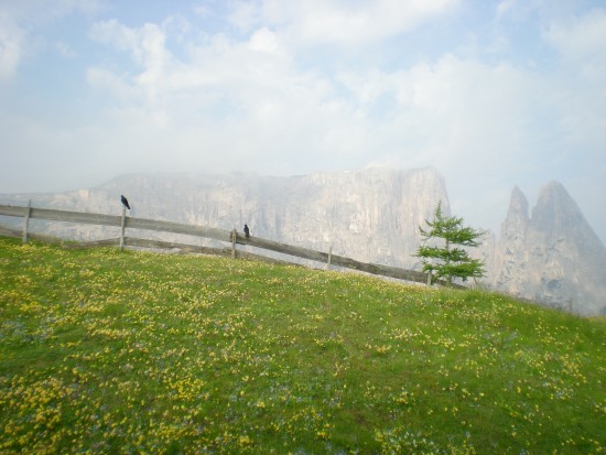 DSCN0156.JPG