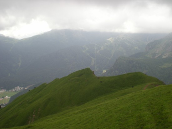 DSCN0873