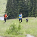 Passo_9 004